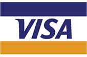 Credit Card Processing Visa